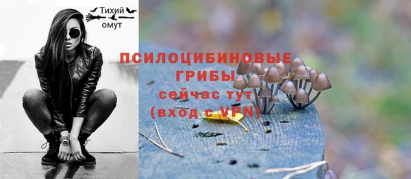 гидра Козельск