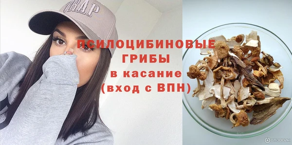 гидра Козельск
